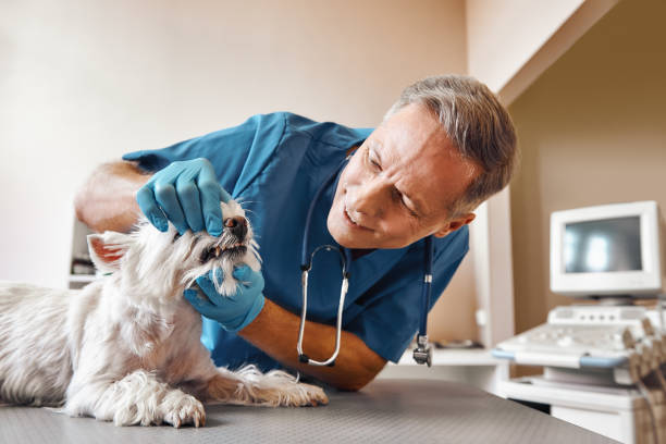 Best Weekend Emergency Dentist in Amarillo, TX